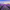 Lavendel Provence - Frankrijk