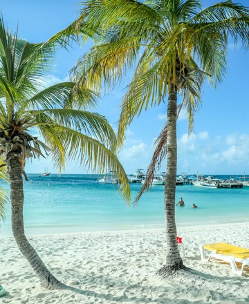 Caribisch gebied