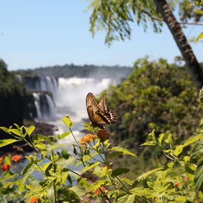 Bewonder de grootsheid van de Iguaçu-watervallen