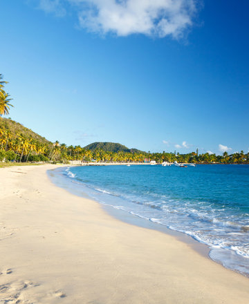 Caribische ontsnapping