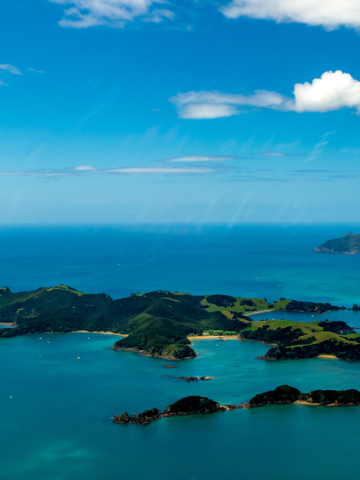 Verse, heerlijke zeevruchten in Kaikōura
